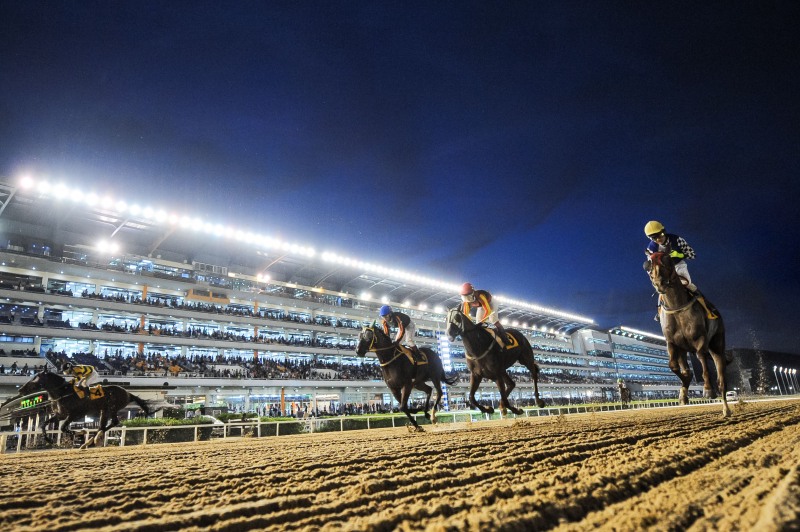 끝모르는 찜통더위... 야간경마‘직관’하며 날려버려요