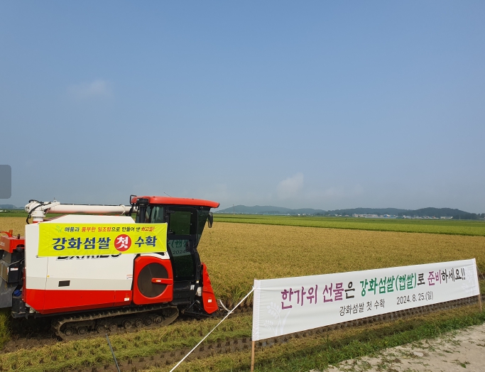 강화군, 고품질 강화섬쌀 올해 첫 벼 베기