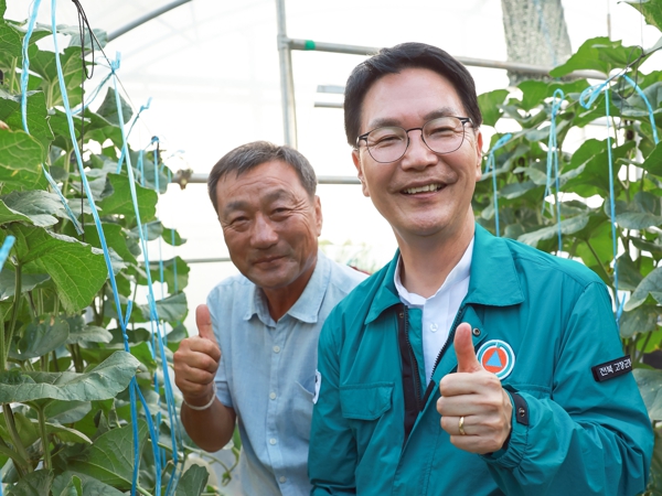‘고창멜론’, 추석 명절 전국 소비자 입맛 사로잡는다