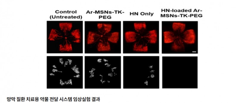 한국표준과학연구원 제공