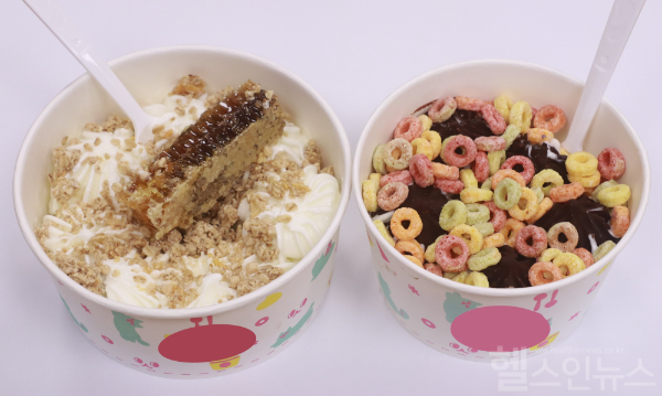 요거트 아이스크림 (자생한방병원 제공)