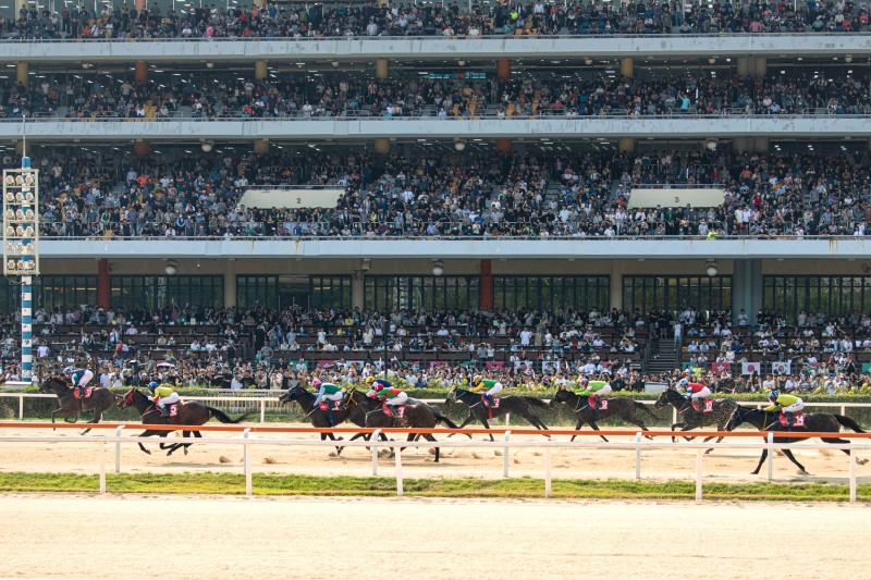 23년 코리아컵 코리아스프린트 현장