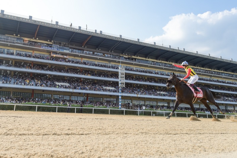 코리아컵 우승, 일본의 크라운프라이드와 요코야마 기수 결승선 통과