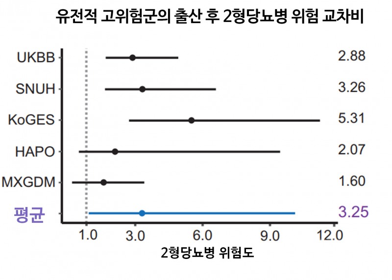 유전적 고위험군의 출산 후 2형당뇨병 위험도(교차비). 전체 코호트에서 유전적 고위험군은 대조군에 비해 당뇨병 위험이 평균 3.25배 높았다. UKBB:UK 바이오뱅크; SNUH:서울대학교병원; KoGES:한국인유전체역학조사사업; HAPO:미국 HAPO 연구; MXGDM:멕시코 임신성 당뇨병 연구