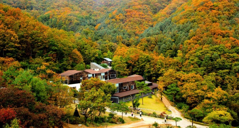 선마을, 요가·명상으로 얻는 ‘진정한 쉼’…휴식이 생기를 얻는다