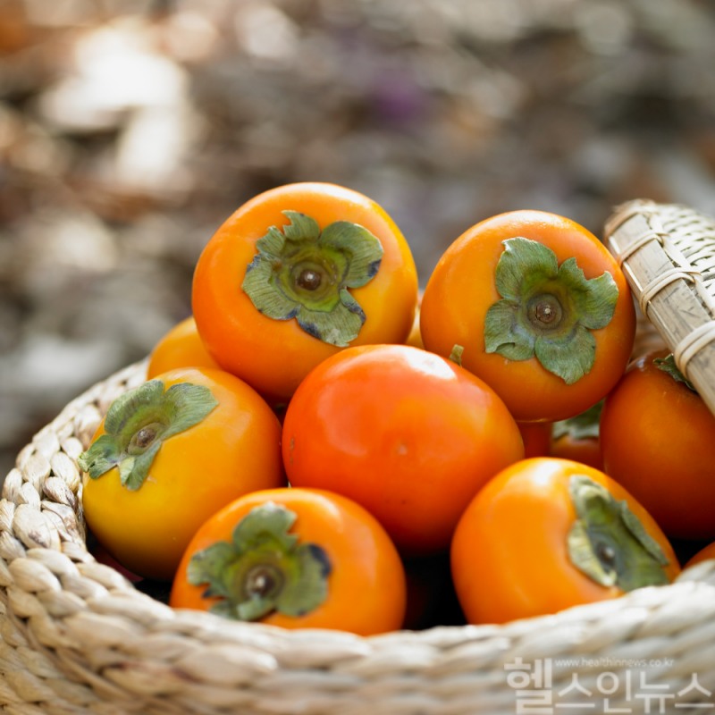 (클립아트코리아 제공)