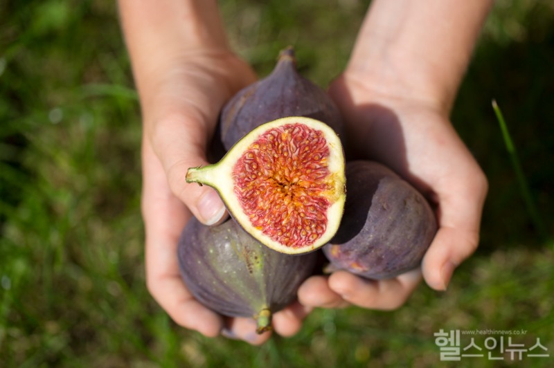 (클립아트코리아 제공)