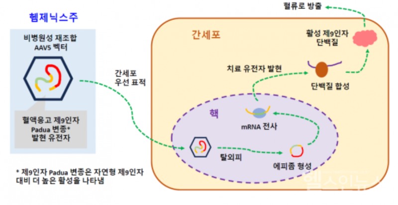 씨에스엘베링코리아(유) 제공
