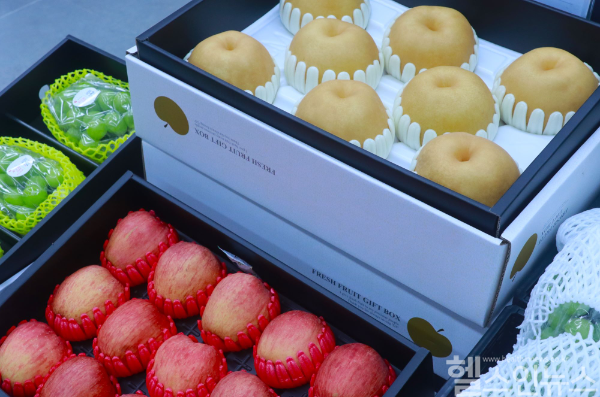 약처럼 사용할 수 있는 사과와 배. 배는 즙으로 복용 시 기침·천식 등 기관지 건강관리에... 사과는 갈증을 멎게 하고 급성 위장병으로 인한 복통 완화에 효과적 (자생한방병원 제공)