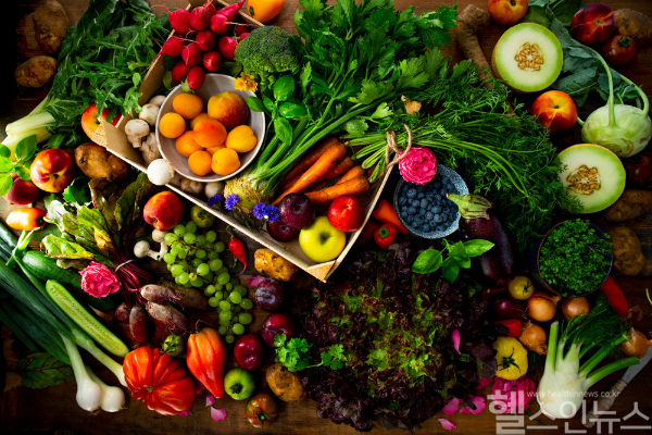 식이섬유 섭취량 적을수록 스트레스와 우울 등 정신건강 악화 위험 더 커... 정신 건강 위해 성별로 총 에너지 섭취량 고려한 맞춤형 식단 관리 필요해 (클립아트코리아)