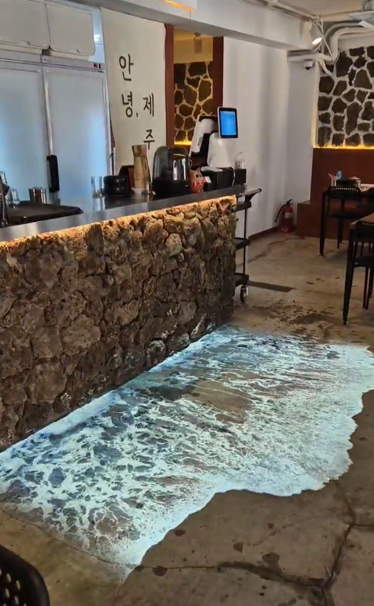 서울 한복판에서 만나는 제주도의 생동감, 이색적인 음식점 ‘안녕, 제주’