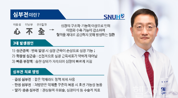 서울대병원 순환기내과 이해영 교수 (서울대학교병원 제공)