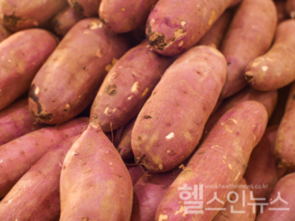 고구마는 항산화 효과, 치매 예방, 다이어트 등 건강에 긍정적 영향을 준다. (프리픽 제공)