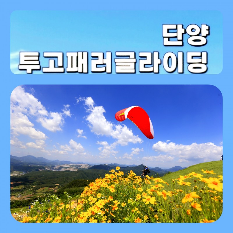 단양패러글라이딩의 안전 상징, 투고패러... 33년 무사고 비행과 국내 최대 안전 이륙장 구축