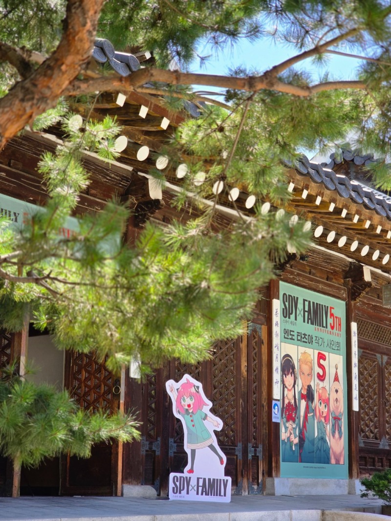 ‘스파이 패밀리’엔도 타츠야 작가, ‘스파패’연재 5주년 맞이 한국 사인회 성료…한국팬 사랑에 감동