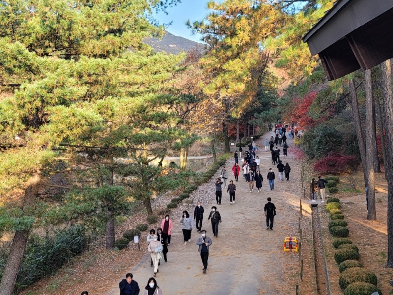 가을 단풍 즐겨요…안양시, 서울대 관악수목원 29일간 시범 개방
