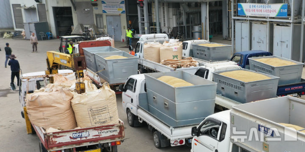 절기상 한로를 하루 앞두고 추곡수매가 실시된 7일 경기도 화성시 비봉면 수라청연합농협미곡처리장(RPC)에 추수한 벼를 싣고 온 차량들이 대기하고 있다.