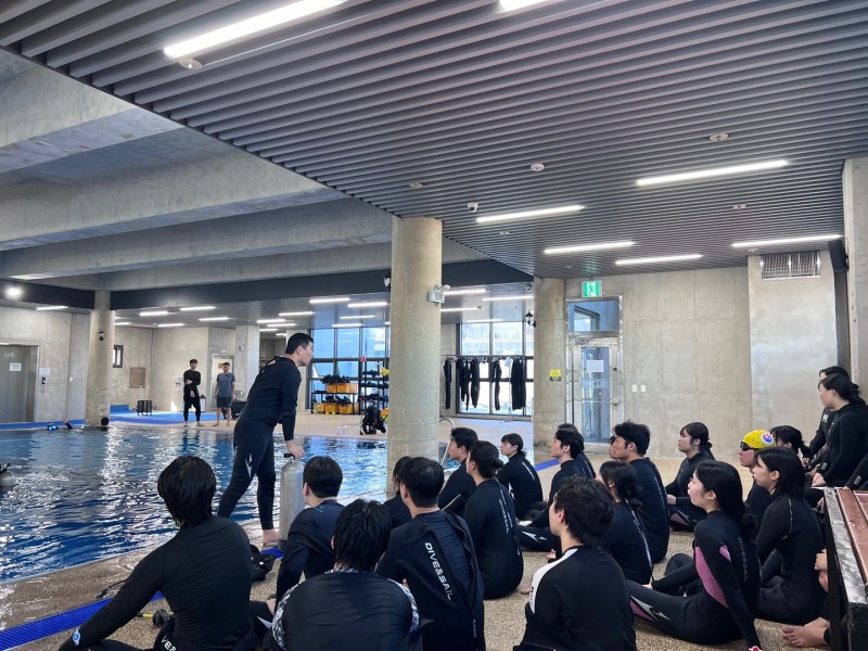 경동대 학생들의 인명구조 스킨스쿠버 체험활동