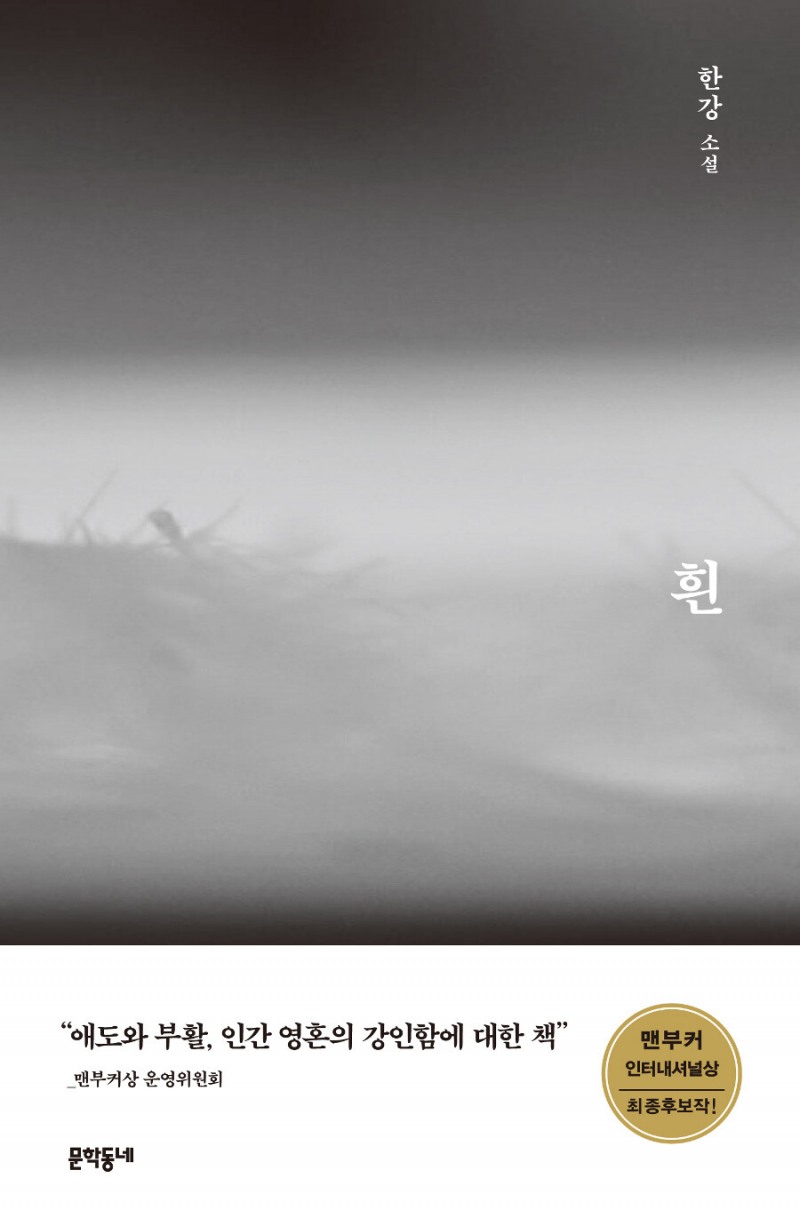 알라딘, 한강 노벨문학상 수상 쾌거에 판매량 최대 2,000배 급증, 전 연령층에 고른 인기