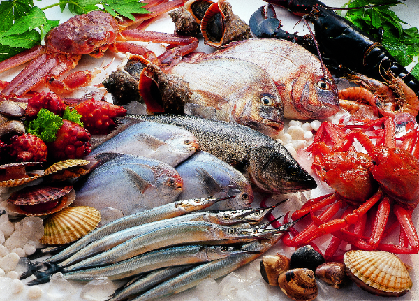 식약처는 도매시장에서 판매되는 수산물 150종을 수거해 집중 검사를 실시할 예정이다. 위 사진은 본문과 관계없음 (클립아트코리아 제공)