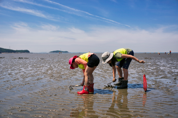 해양수산부가 올해 12월 말부터 갯벌생태해설사를 양성할 예정이다. 위 사진은 본문 내용과 관계없음 (클립아트코리아 제공)
