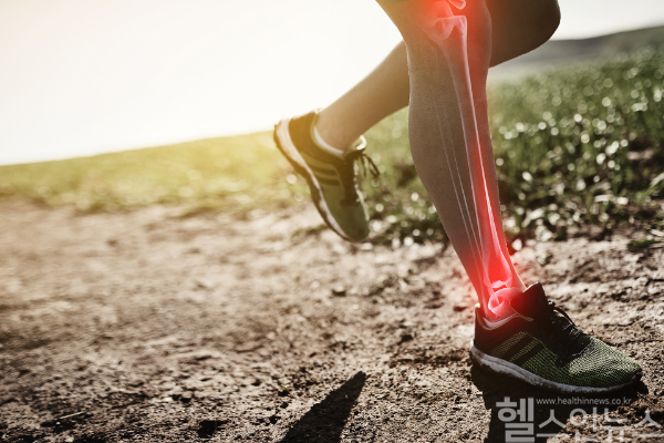 한국허벌라이프가 ‘세계 골다공증의 날’을 맞아 뼈 건강을 위한 필수 영양소를 소개했다. (한국허벌라이프 제공)