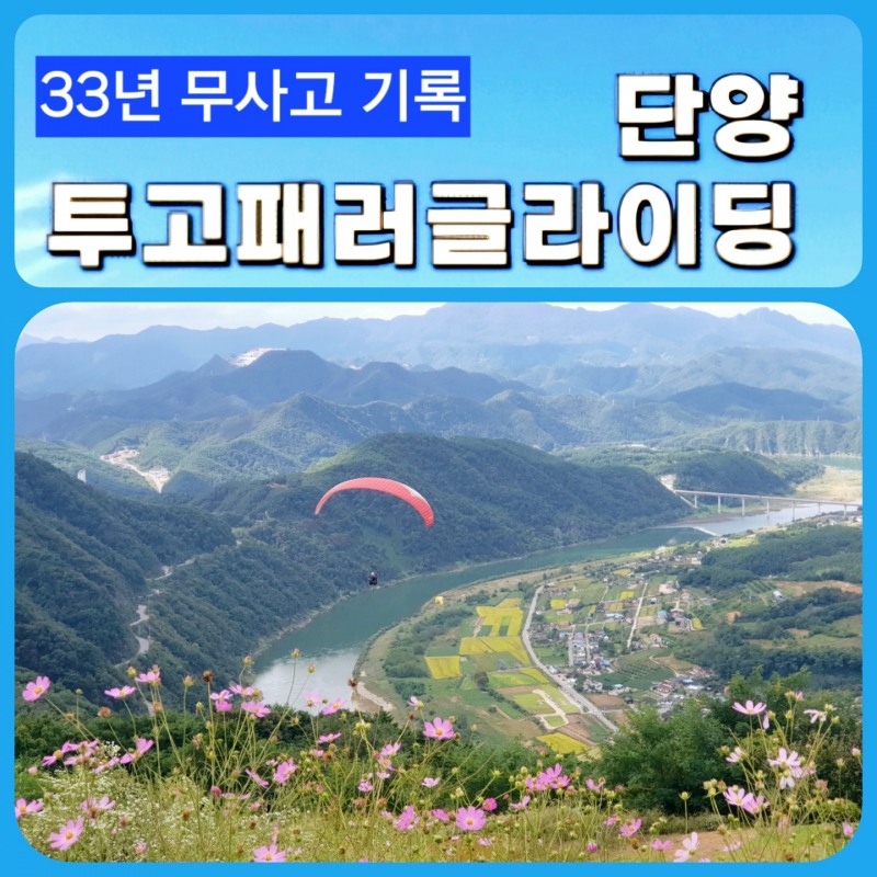 단양가을여행의 백미, 33년 무사고의 신뢰...단양투고 패러글라이딩이 특별한 경험 제공