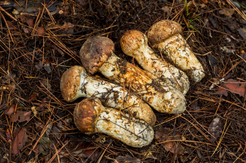 위 사진은 본문과 관계없음 (클립아트코리아 제공)