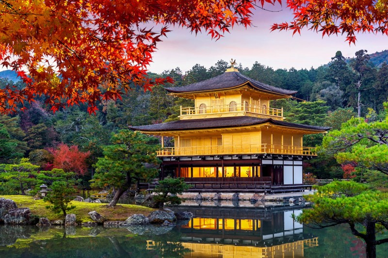 요모, 일본 오사카 핵심일주 맞춤형 프라이빗 투어 출시 - 개인화 여행 트렌드 특화