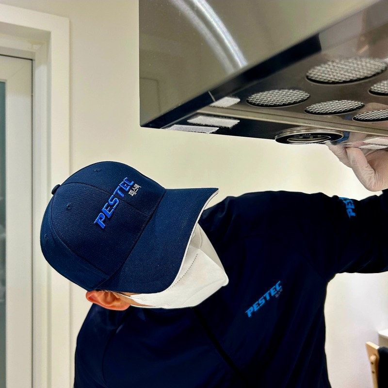 사진제공=페스텍