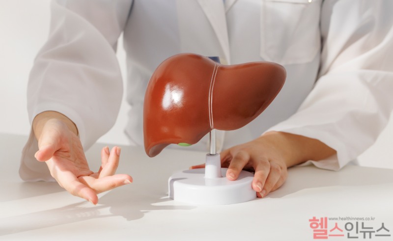 별다른 증상 없이 찾아오는 간질환을 오래 방치하면 간암으로 발전할 수 있다. (클립아트코리아)