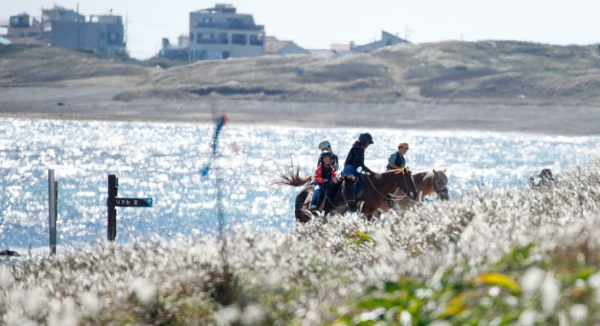 완연한 가을 날씨를 보인 24일 제주 서귀포시 성산읍 제주올레 1코스 광치기 해변에서 관광객들이 말타기 체험을 하며 즐거운 시간을 보내고 있다.