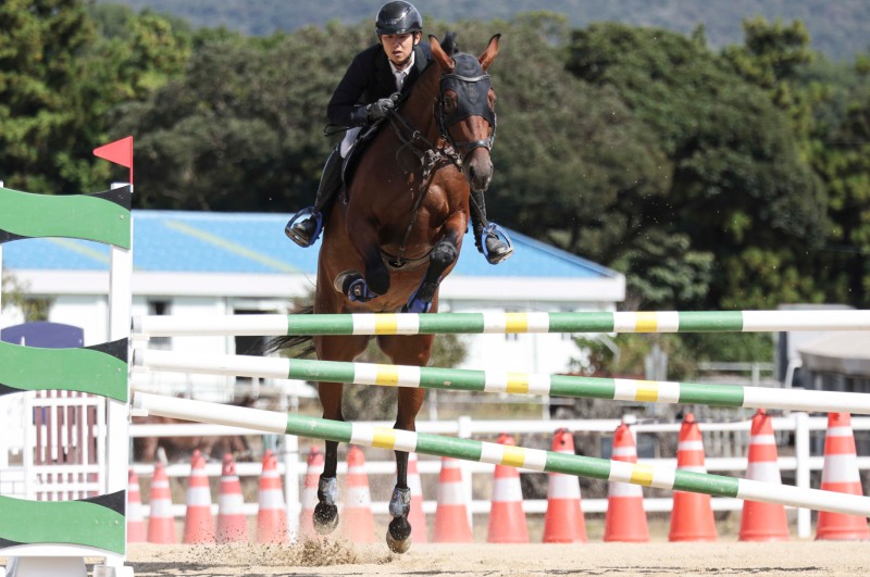 한국마사회, 국산 우수 승용마 발굴의 장, ‘2024년 Young Horse Cup 및 스포츠말 품평회 결승’개최