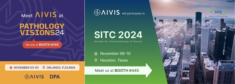 <에이비스(AIVIS) 제공>