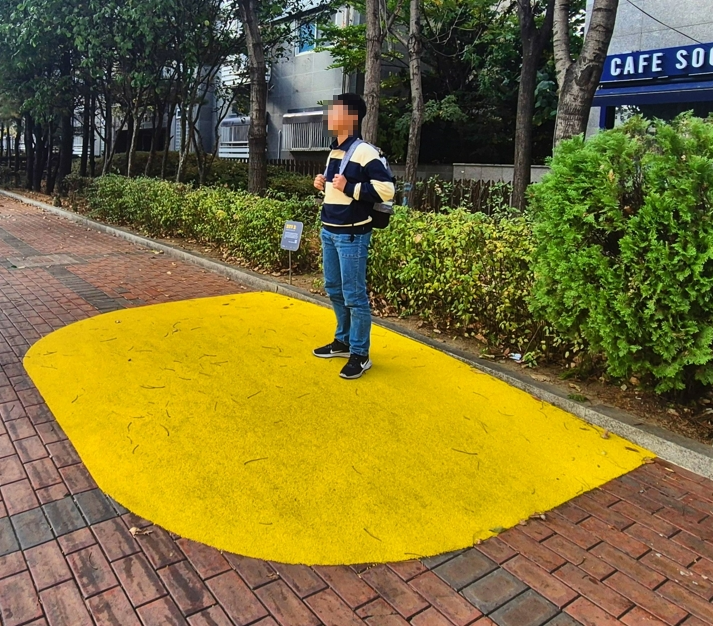 초등학생들이 횡단을 위해 옐로우 힐에서 대기하고 있다