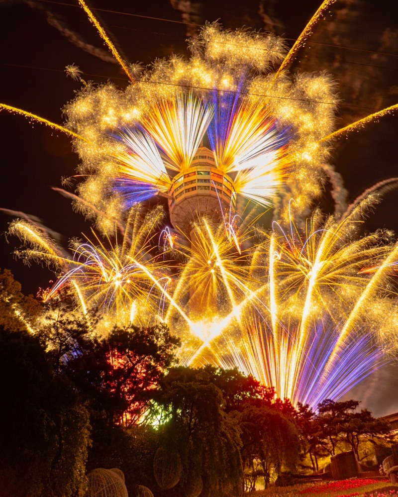 이월드에서 볼 수 있는 불꽃쇼 (이월드 제공)