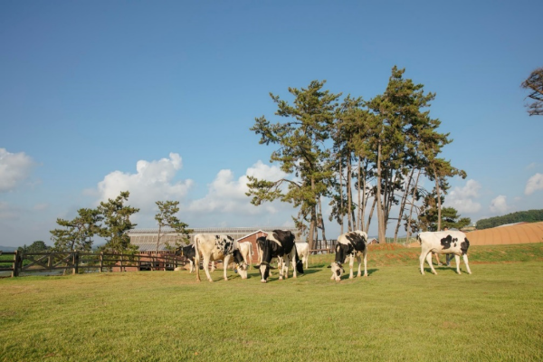 자료=매일유업 제공