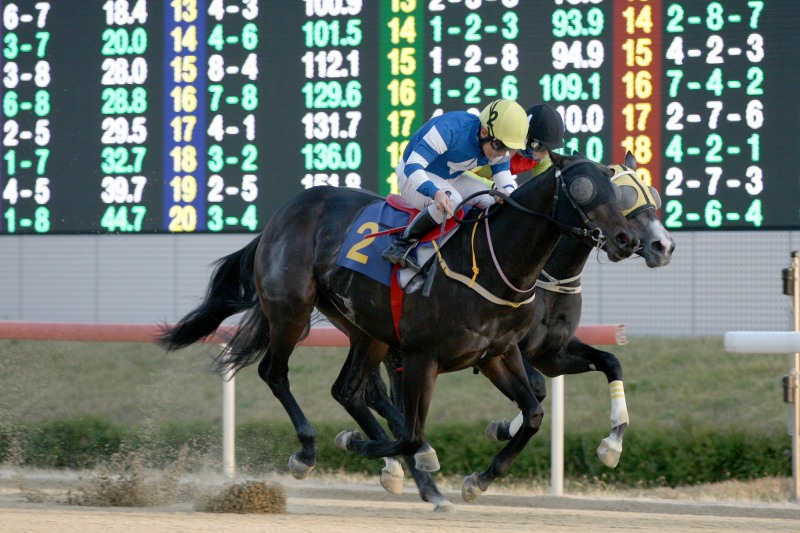 제17회 국제신문배, 최강 중단거리 최강馬 놓고‘신구격돌’