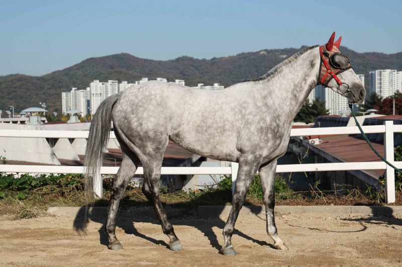 붉게 물든 단풍아래를 달린다. 제13회 스포츠월드배 경주, 10일 개최