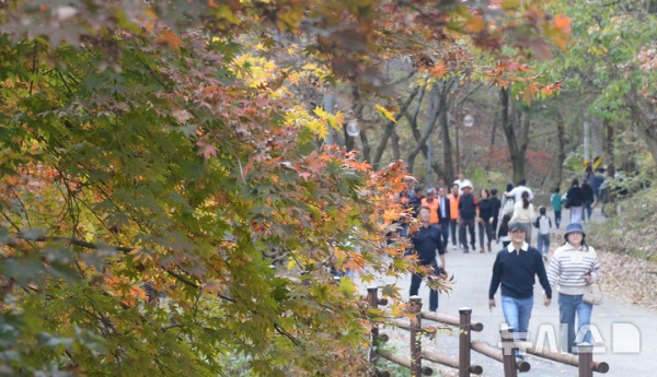 완연한 가을 날씨가 이어지고 있는 9일 전북 진안군 마이산을 찾은 시민들이 등산을 하고 있다.