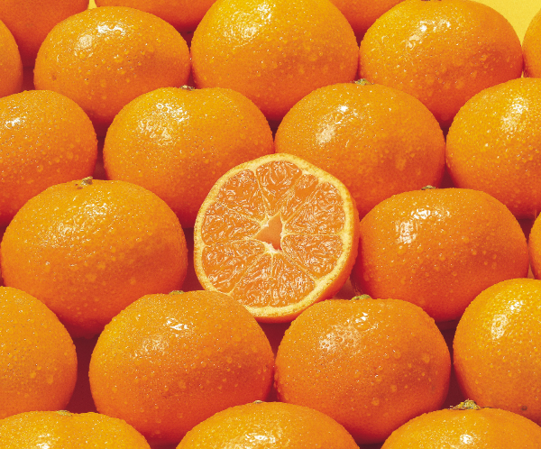 귤 흰부분 '귤락'은 과육 부분보다 풍부한 영양소를 함유하고 있다. 위장을 따뜻하게 하고 혈류를 원활히 해 건강을 지킬 수 있는 성분으로 과육과 함께 섭취하는 것이 좋다. (클립아트코리아 제공)