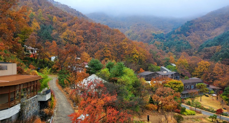 선마을 가을 전경 사진