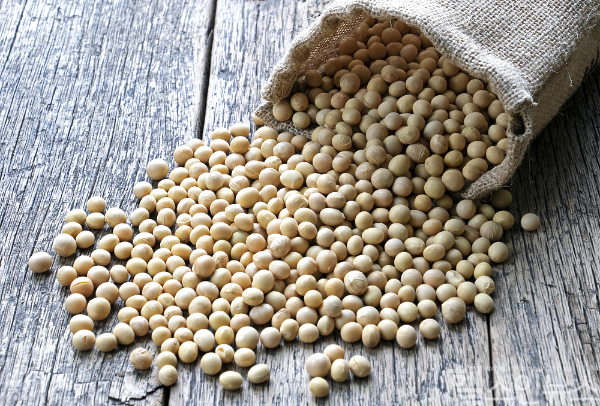 11월 14일 세계 당뇨병의 날을 맞이해 당뇨병과 당뇨병성 신장병 관리에 도움을 줄 수 있는 다양한 영양소, 식단 관련 연구 결과들이 발표돼 눈길을 끈다. (클립아트코리아)