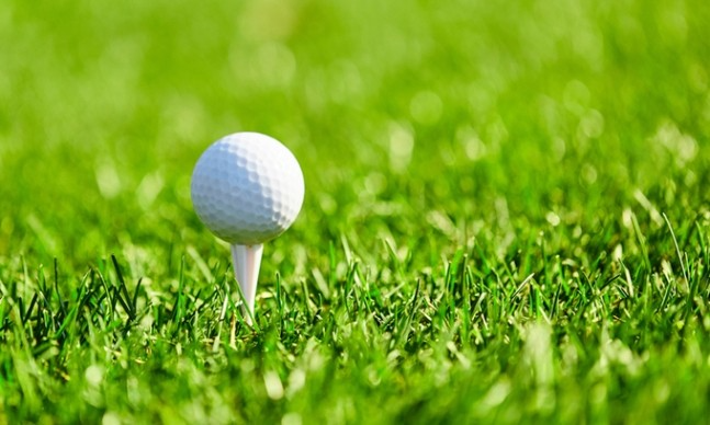 '이천 골프장 타구 사망사고' 골퍼·캐디 검찰에 송치