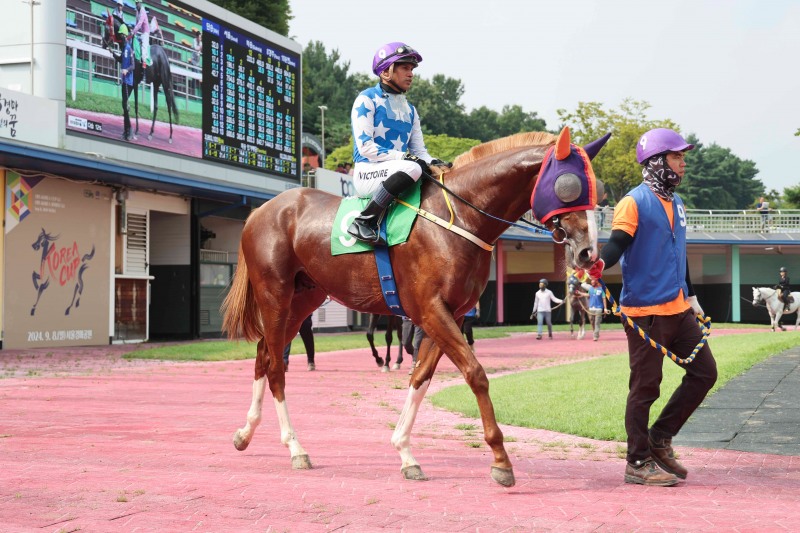 ‘라온퍼스트’뒤이을 유망주 탄생할까... 2세마 대격돌 할 제18회 과천시장배(L)
