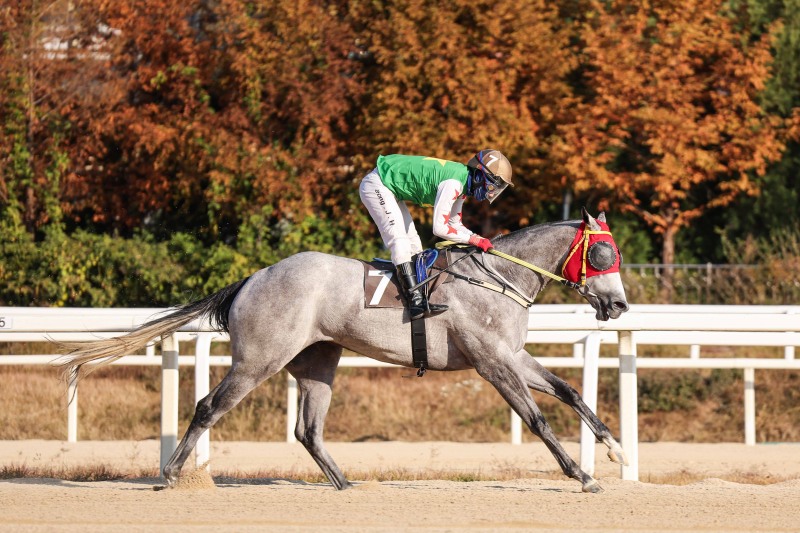 스포츠월드배 우승의 프린스데이와 정정희 기수