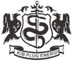 KIB플러그에너지, 주가 급등…"오픈아시아 지분 매각" 최대주주 재차 변경