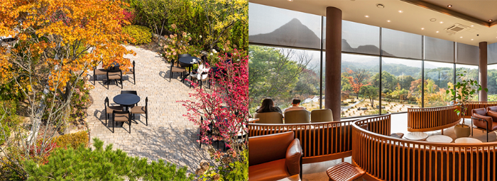 스타벅스는 늦가을을 즐길 수 있는 전국 명소를 소개하며 커피 한 잔과 자연풍경을 즐기는 재미를 선사한다. (스타벅스코리아 제공)