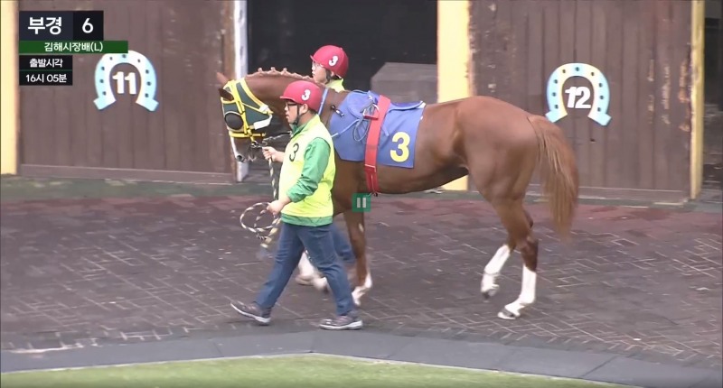 2세 최강마 마지막 관문 제16회 브리더스컵 루키 24일 개최