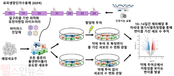 PEER-seq 기술의 개괄. 표피생장인자수용체 티로신 키나제 영역에 알고리즘 기반 프라임편집을 통해 가능한 모든 종양 변이를 도입한 후 약제 투여를 통해 종양 변이가 항암제 내성에 얼마나 영향을 주는지 한번에 평가할 수 있는 기술. (세브란스병원 제공)